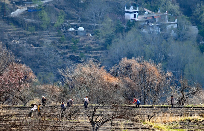 鉚足“?！眲鸥髅? onload=