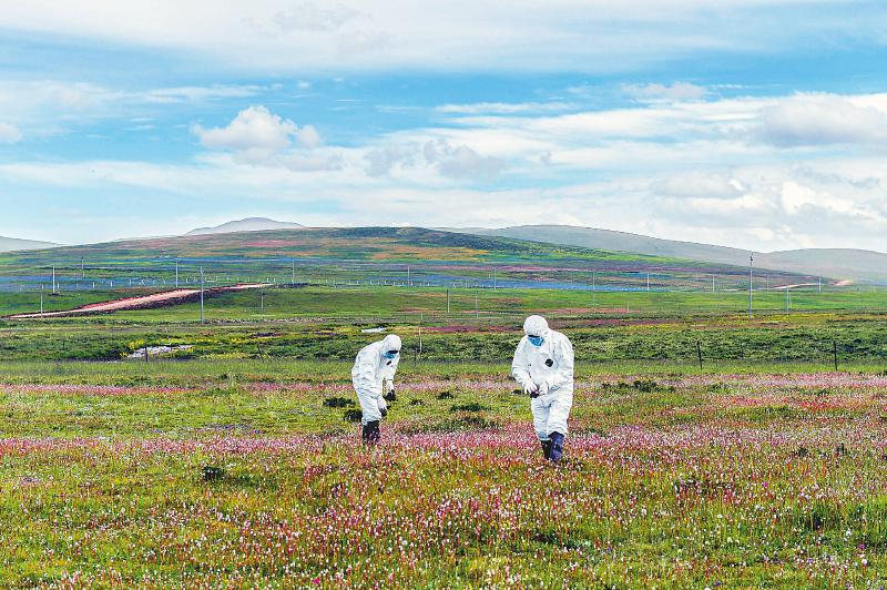 石渠縣國(guó)家級(jí).jpg 石渠縣國(guó)家級(jí).jpg