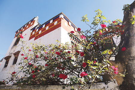 白藏房.jpg 白藏房.jpg