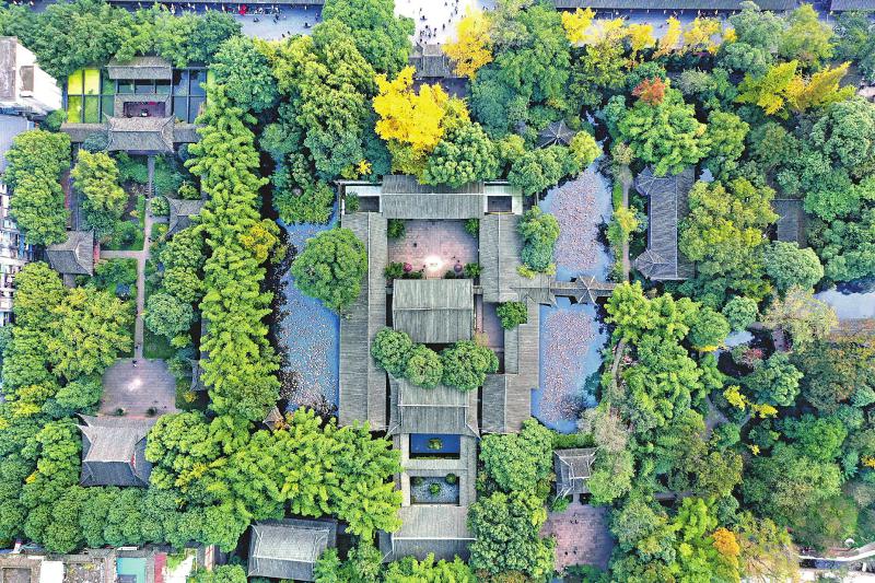 6月9日細(xì)雨中.jpg 6月9日細(xì)雨中.jpg