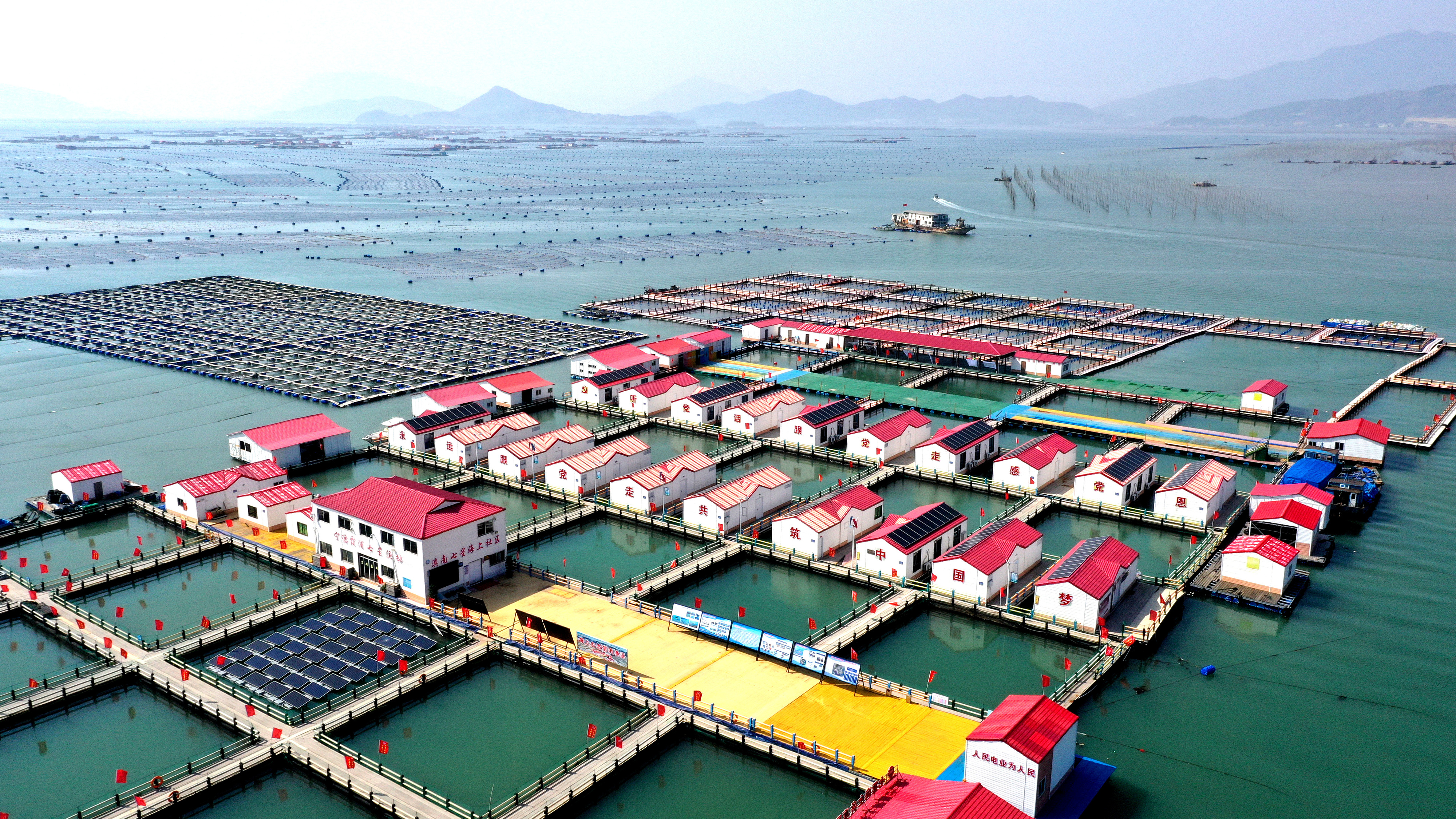 2024年3月20日，福建省寧德市，霞浦縣溪南鎮(zhèn)七星村漁排養(yǎng)殖示范區(qū)，漁民駕駛養(yǎng)殖船進(jìn)行海參養(yǎng)殖作業(yè)。